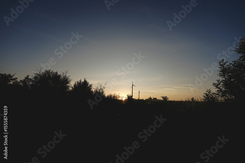 Natur im Sommer
