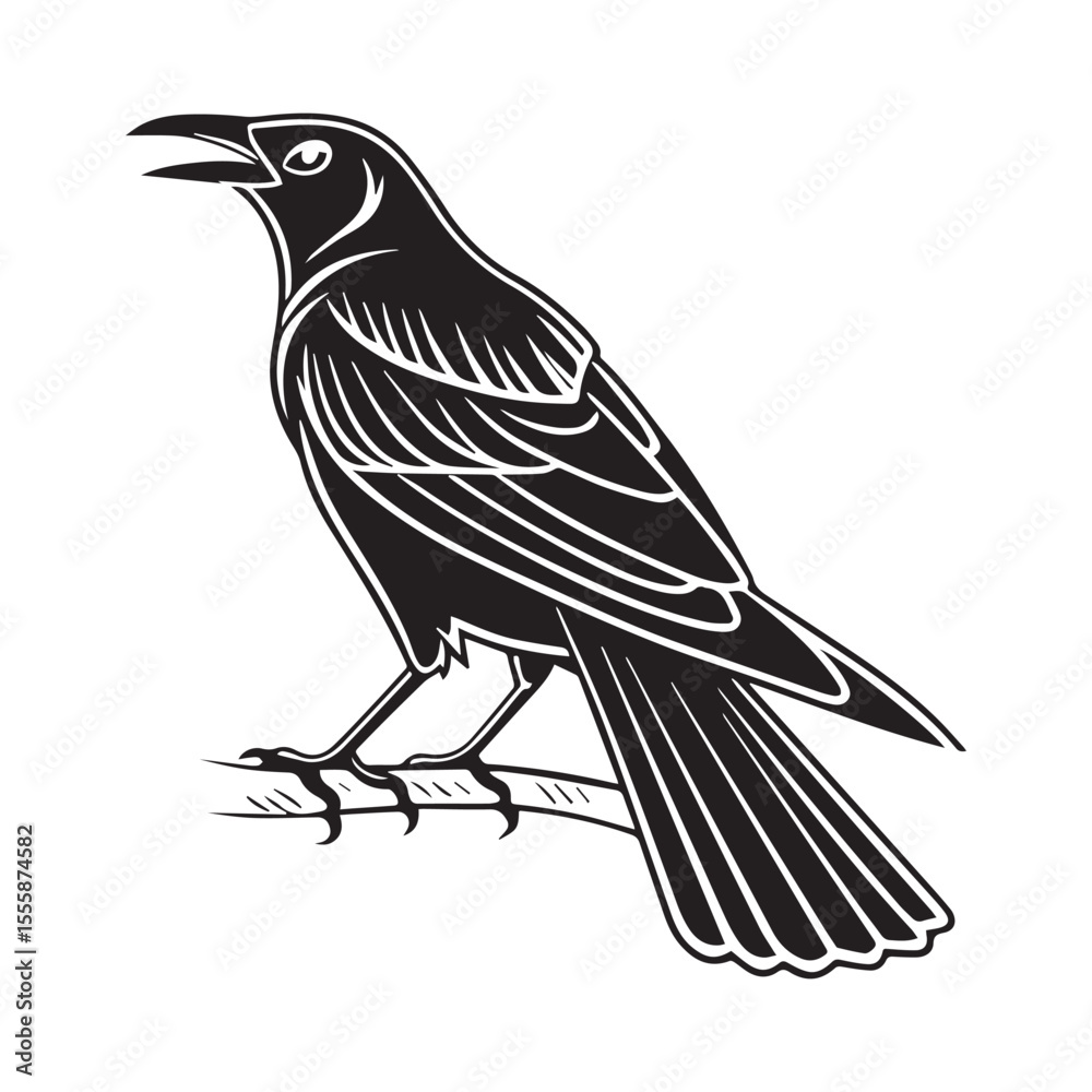 Obraz premium Common blackbird vector art illustration