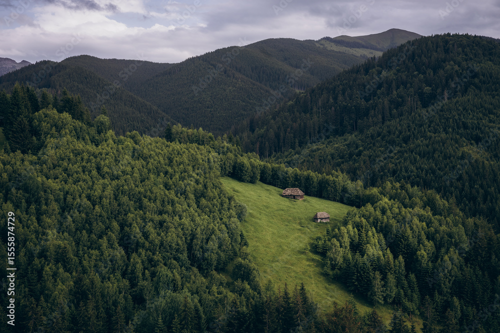 Fototapeta premium The Carpathian Mountains in Romania are a majestic mountain range, rich in wildlife, forests, and breathtaking landscapes.
