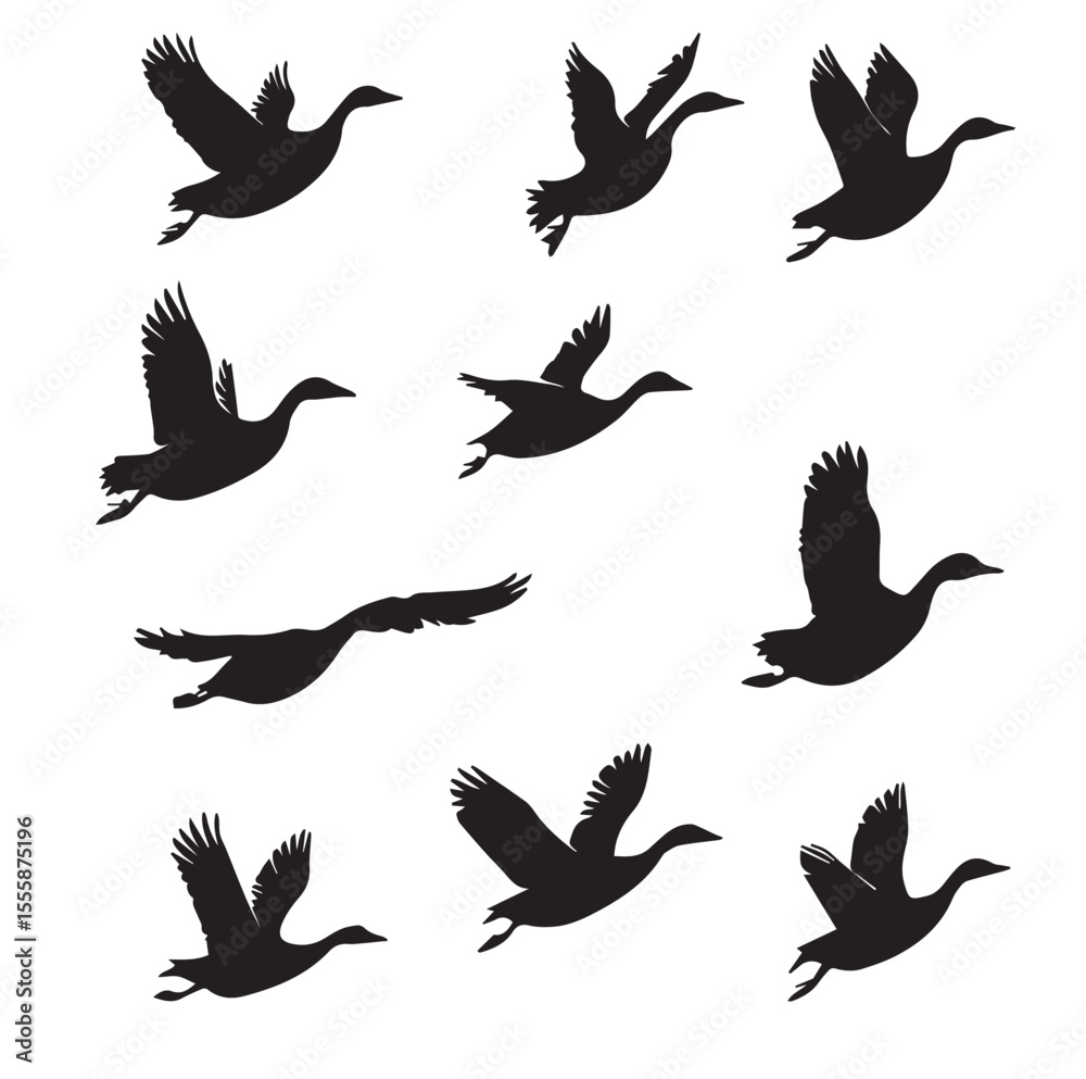 Fototapeta premium flying goose silhouette
