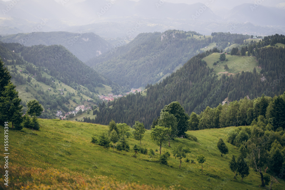 Fototapeta premium The Carpathian Mountains in Romania are a majestic mountain range, rich in wildlife, forests, and breathtaking landscapes.