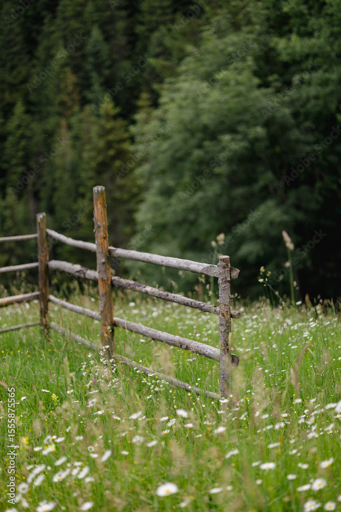 Fototapeta premium The Carpathian Mountains in Romania are a majestic mountain range, rich in wildlife, forests, and breathtaking landscapes.