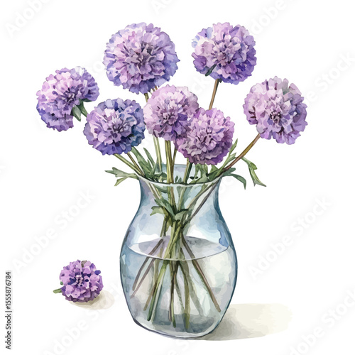 watercolor vector of A Scabiosa In A Vase, isolated on a white background.