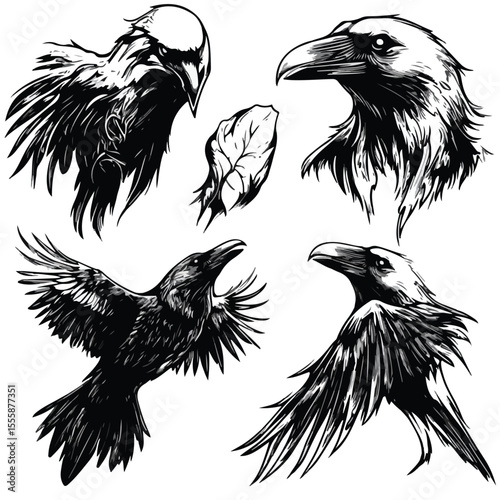 flying raven silhouette