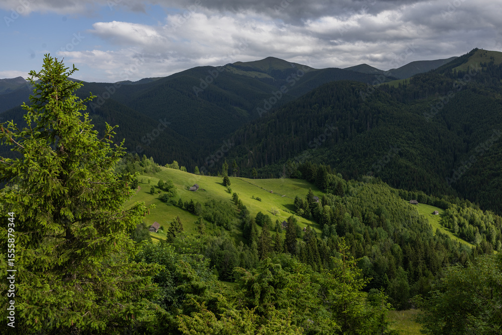 Obraz premium The Carpathian Mountains in Romania are a majestic mountain range, rich in wildlife, forests, and breathtaking landscapes.