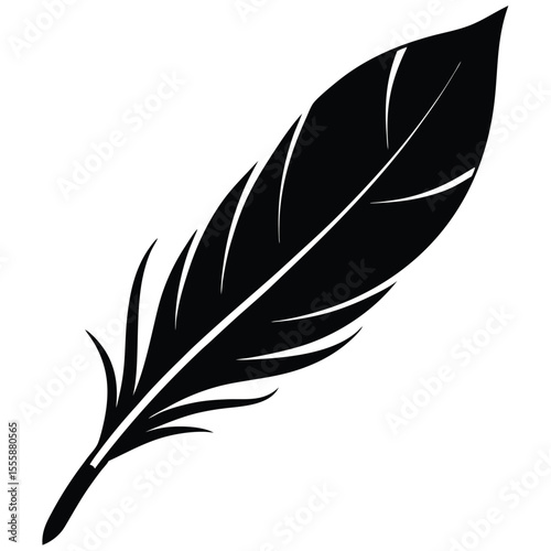 feather on white background