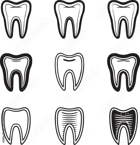 Tooth Types Silhouette Vector Set Dental Icons and Anatomy Illustration
