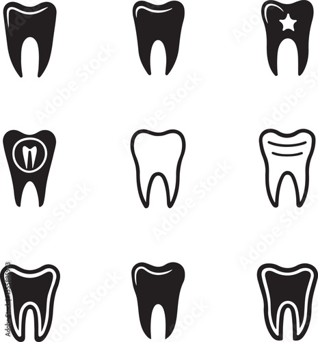 Tooth Types Silhouette Vector Set Dental Icons and Anatomy Illustration
