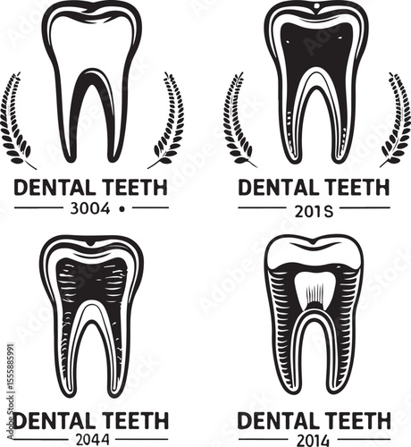 Tooth Types Silhouette Vector Set Dental Icons and Anatomy Illustration
