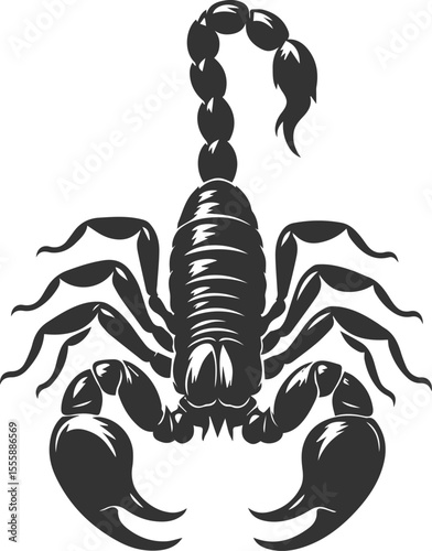 Vector illustration of a scorpion insect silhouette drawing