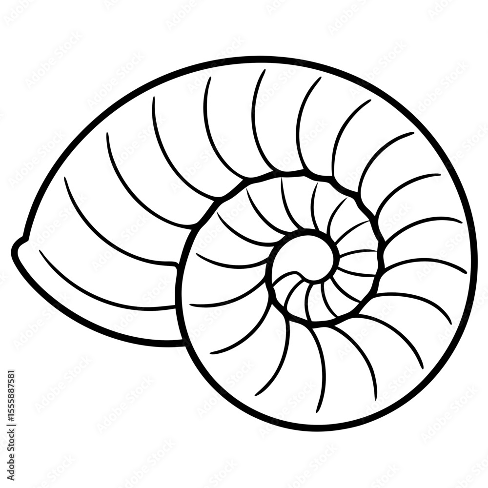 Obraz premium nautilus shell vector illustration