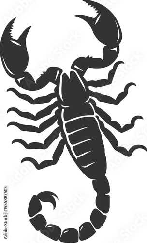 Vector illustration of a scorpion insect silhouette drawing