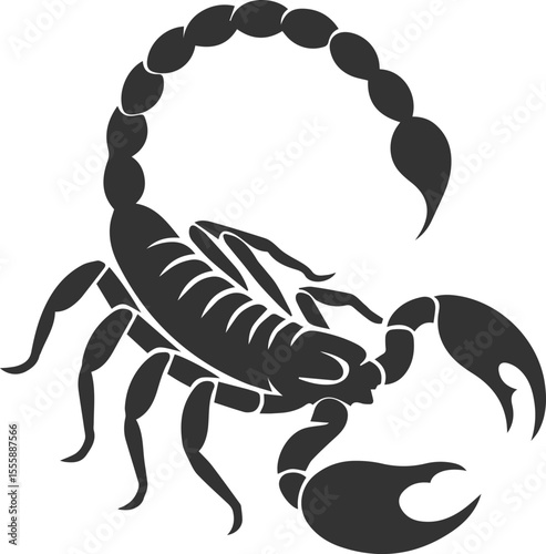 Vector illustration of a scorpion insect silhouette drawing