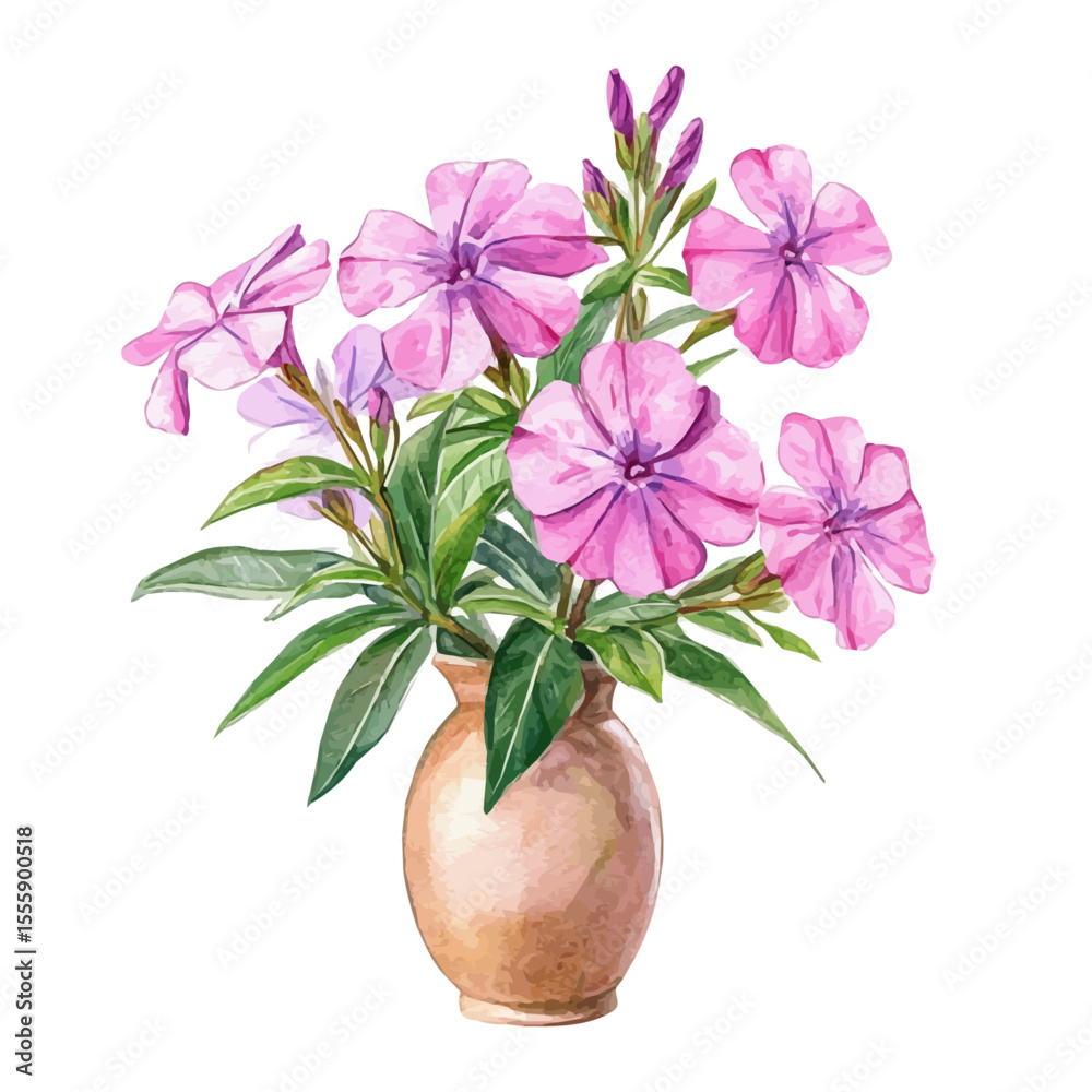 Obraz premium A Phlox In A Vase, watercolor clipart vector, isolated on a white background.
