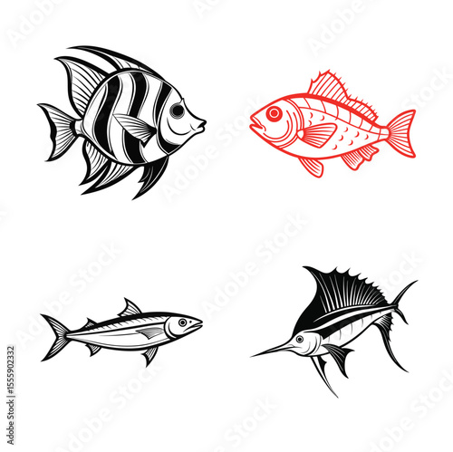 Angelfish, Northern Red Snapper, Pacific Sardine, Sailfish