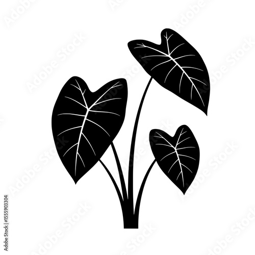 Black Silhouette of Taro Plant: A minimalist black silhouette captures the elegance of a taro plant, showcasing its broad leaves and sturdy stem in sleek, modern design.