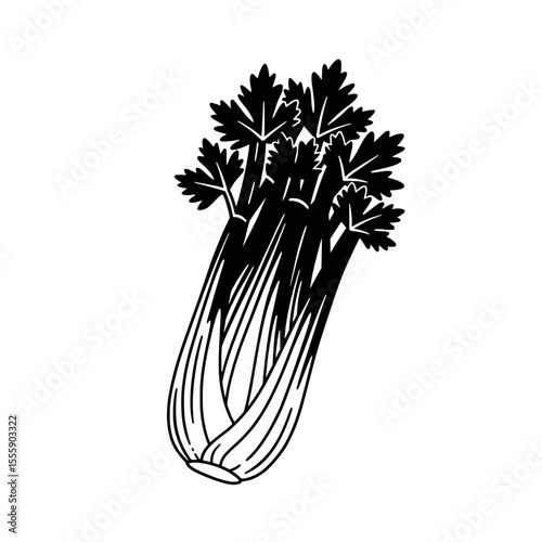 Celery: Fresh and crisp celery stalk, perfect for culinary creations. Depicting the natural beauty and health benefits of the ingredient.