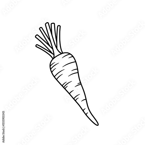 Carrot in Outline: Simple outline of a vibrant carrot, ideal for illustrating concepts related to nutrition and healthy eating.