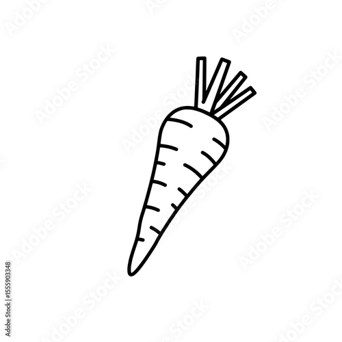Carrot Line Art: Simple line drawing of a single carrot, with detailed lines showing the root vegetable's shape and texture.  A healthy and wholesome image. 