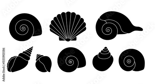 Marine Wonders: A curated collection of meticulously crafted seashell silhouettes, displaying nature's elegance with intricate patterns and forms in a timeless aesthetic.