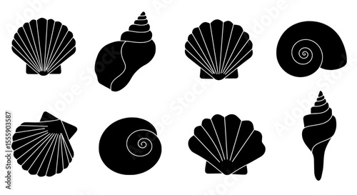 Coastal Treasures: A collection of eight elegantly rendered, black silhouette seashells, each a testament to the intricate beauty and diversity of marine life.