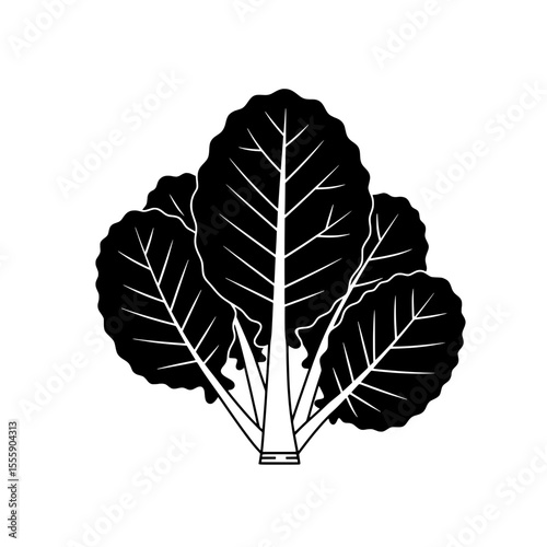 Monochrome Greens: An elegant black and white rendering of a leafy green vegetable displays its natural beauty.
