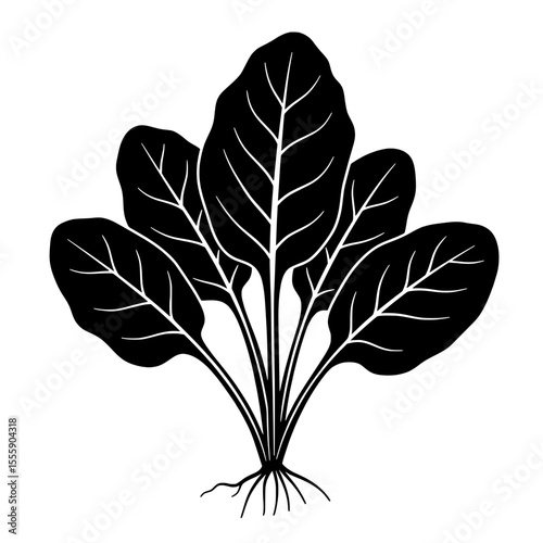 Spinach Plant Silhouette: A stark black-and-white depiction of a vibrant spinach plant, its lush leaves and intricate details rendered in a minimalist style.