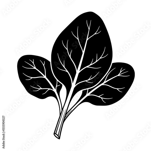 Spinach Leaves: A stark monochrome image captures the fresh, vibrant essence of spinach leaves, their intricate veins and organic form depicted in a minimalist style.