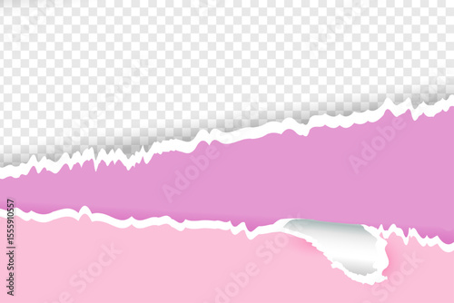 Realistic pink torn ripped paper with rolled edges