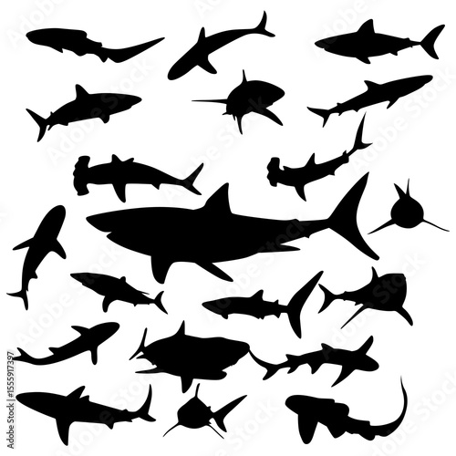 shark vector silhouette set illustration
