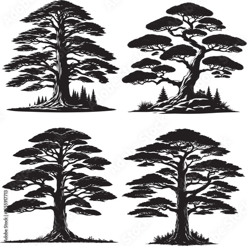 Cedar Tree Vector Illustration – Evergreen Botanical Design Element