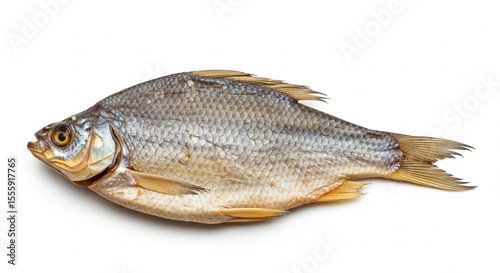 fish isolated on white background