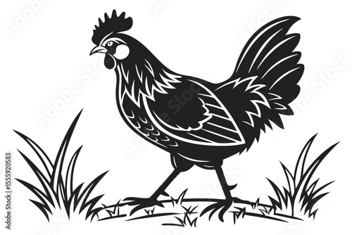 Hen Silhouette Vector on White