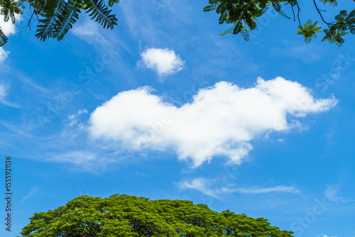 A heart-shaped cloud floats gently above lush green trees, framed by leafy branches and a vibrant blue sky.