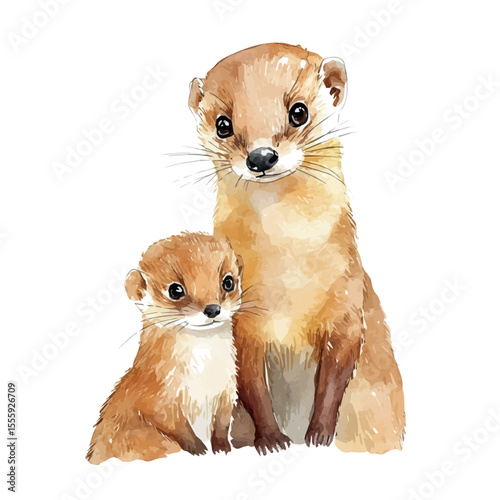 watercolor vector of A Mother Weasel With Her Kid, isolated on a white background.