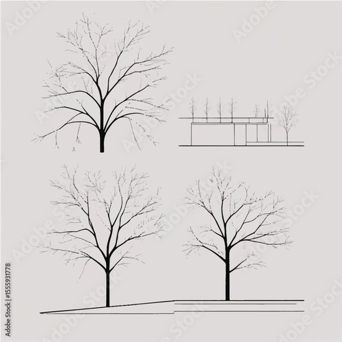 Drawings, Minimal style cad tree line drawing, Side view, plan and section forest outline symbol for landscape design drawing. Vector illustration in stroke fill in white
