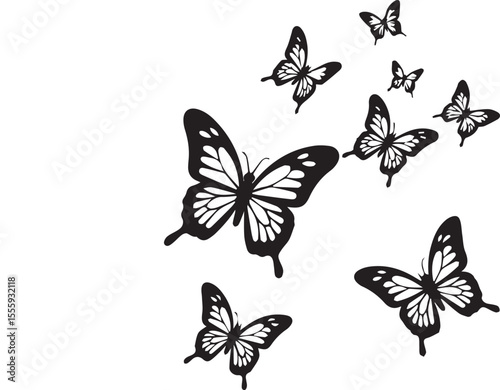 A swarm of elegant black and white butterflies.