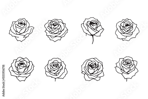 Foto Rose line art and black color