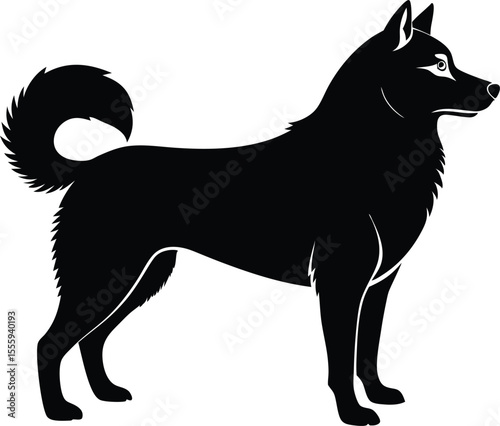Siberian Husky Dog Vector Art
