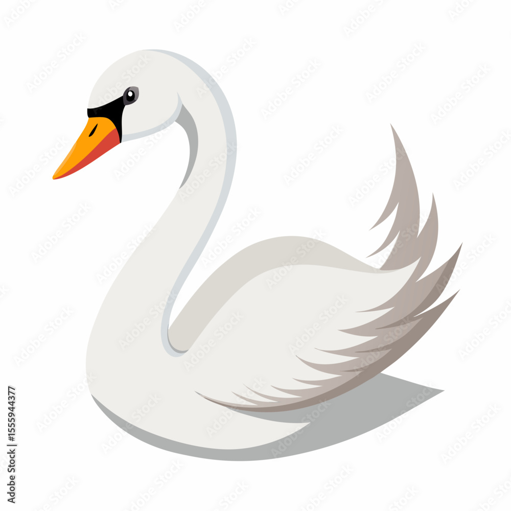 Fototapeta premium swan vector illustration, animal, isolated on white background