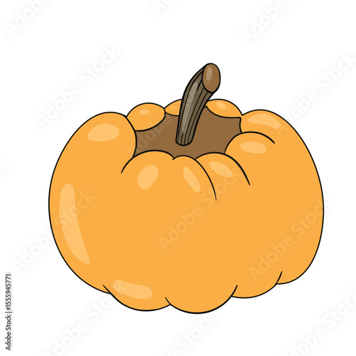 Halloween pumpkin. Cute Pumpkins or ghost. Vector autumn holidays illustration.