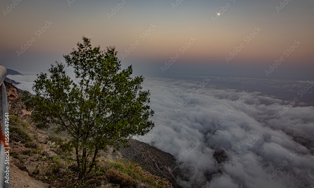Obraz premium beautiful green landscape of salalah in oman during a khareef season