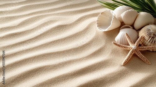 Fototapeta Naklejka Na Ścianę i Meble -  Close-up of fine beach sand with scattered starfish and seashells, free copy space