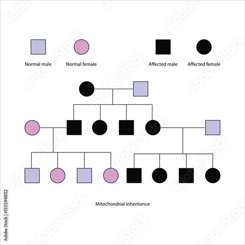 Mitochondrial Inheritance Pedigree Chart
