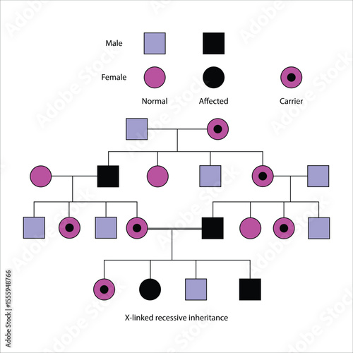 Pedigree Chart Illustrating X-linked Recessive Inheritance