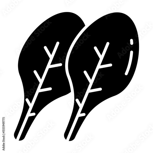 Trendy vector design of lettuce