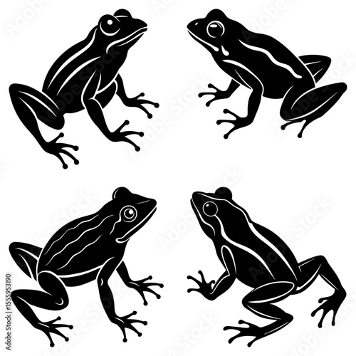 Four stylized black frogs with white stripes arranged symmetrically on a white background image design