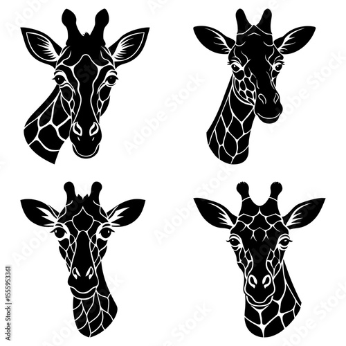 Four giraffe heads in black and white with varying angles and slightly different spot patterns shown