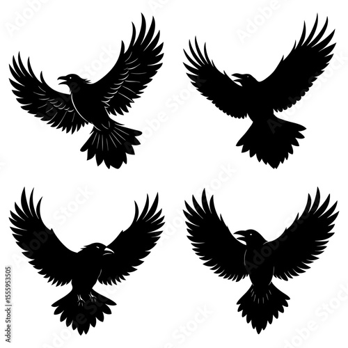 Four black raven silhouettes with spread wings in various flying positions on a white background scene