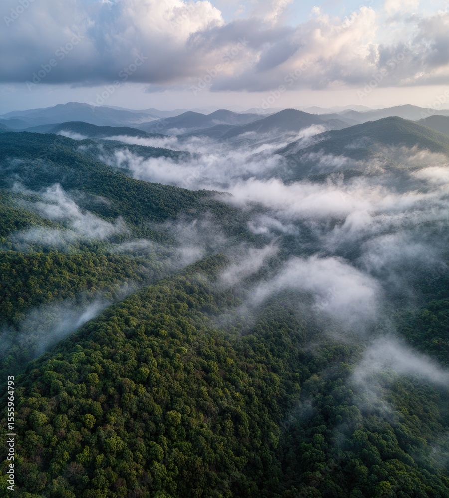 Obraz premium Aerial view of rolling green mountains shrouded in a low-lying cloud layer, bathed in soft, diffused light